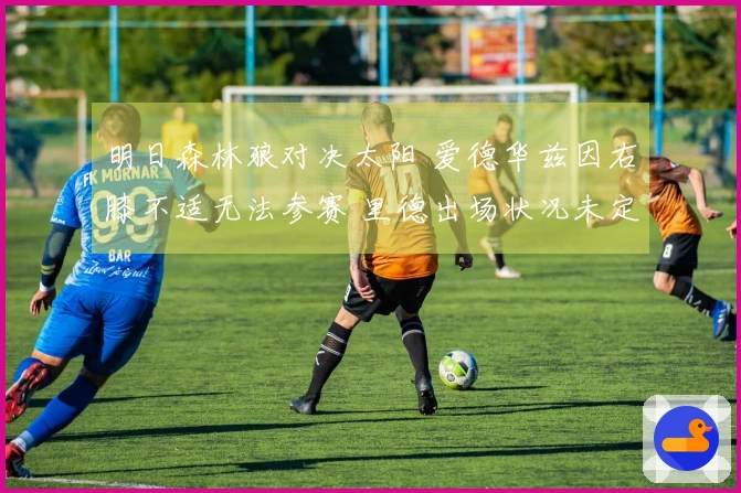 明日森林狼对决太阳 爱德华兹因右膝不适无法参赛 里德出场状况未定